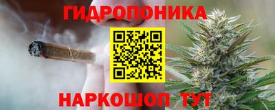 спайс Кунгур