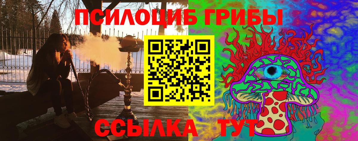 Псилоцибиновые грибы Magic Shrooms Знаменск
