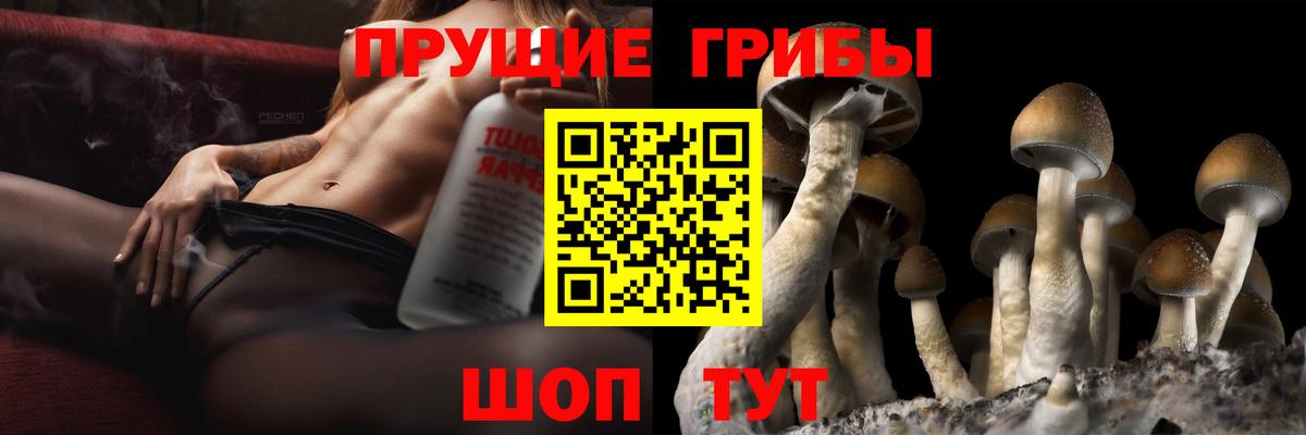 Знаменск  Псилоцибиновые грибы мицелий  Вход с VPN 