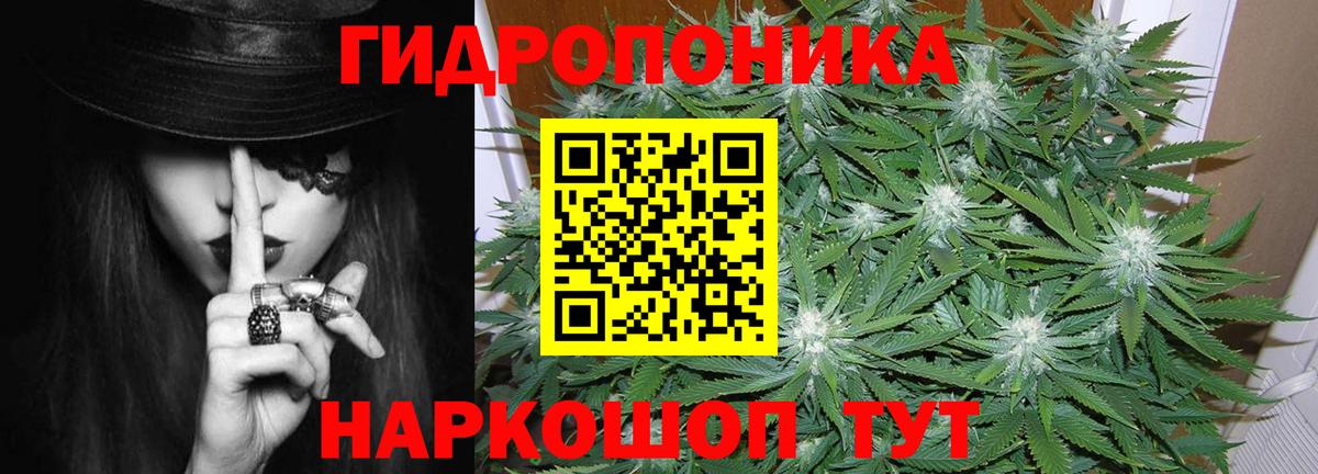 Бошки Шишки индика Знаменск